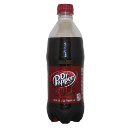 DR PEPPER BTL 20oz REG